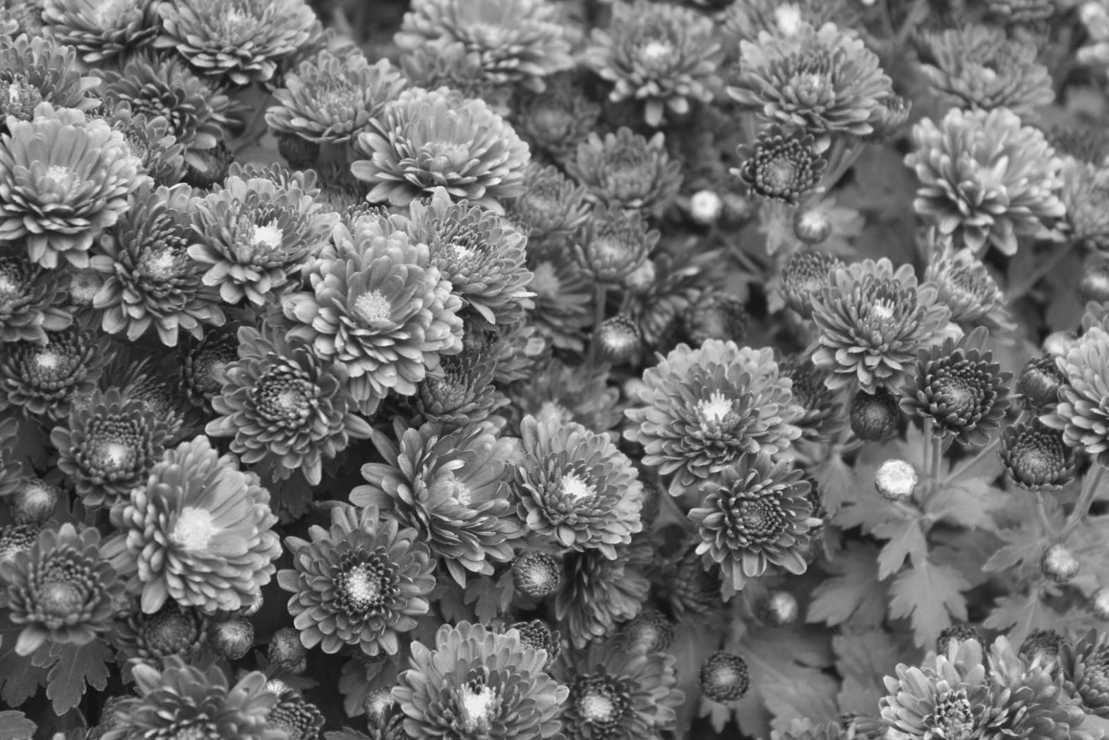 Professional floral arrangement consultation and design process