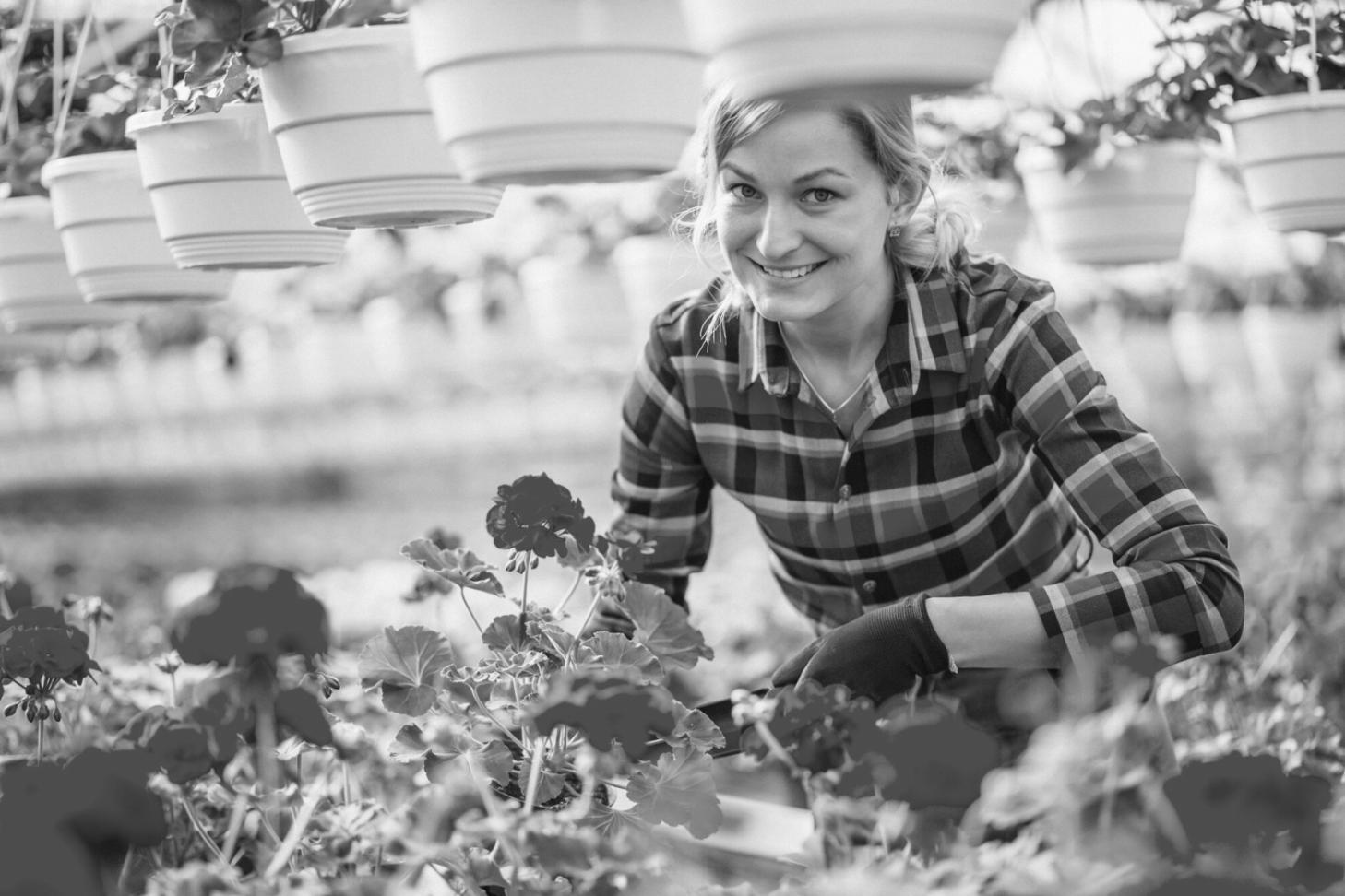 Game development workspace showing multiple monitors with code and game assets