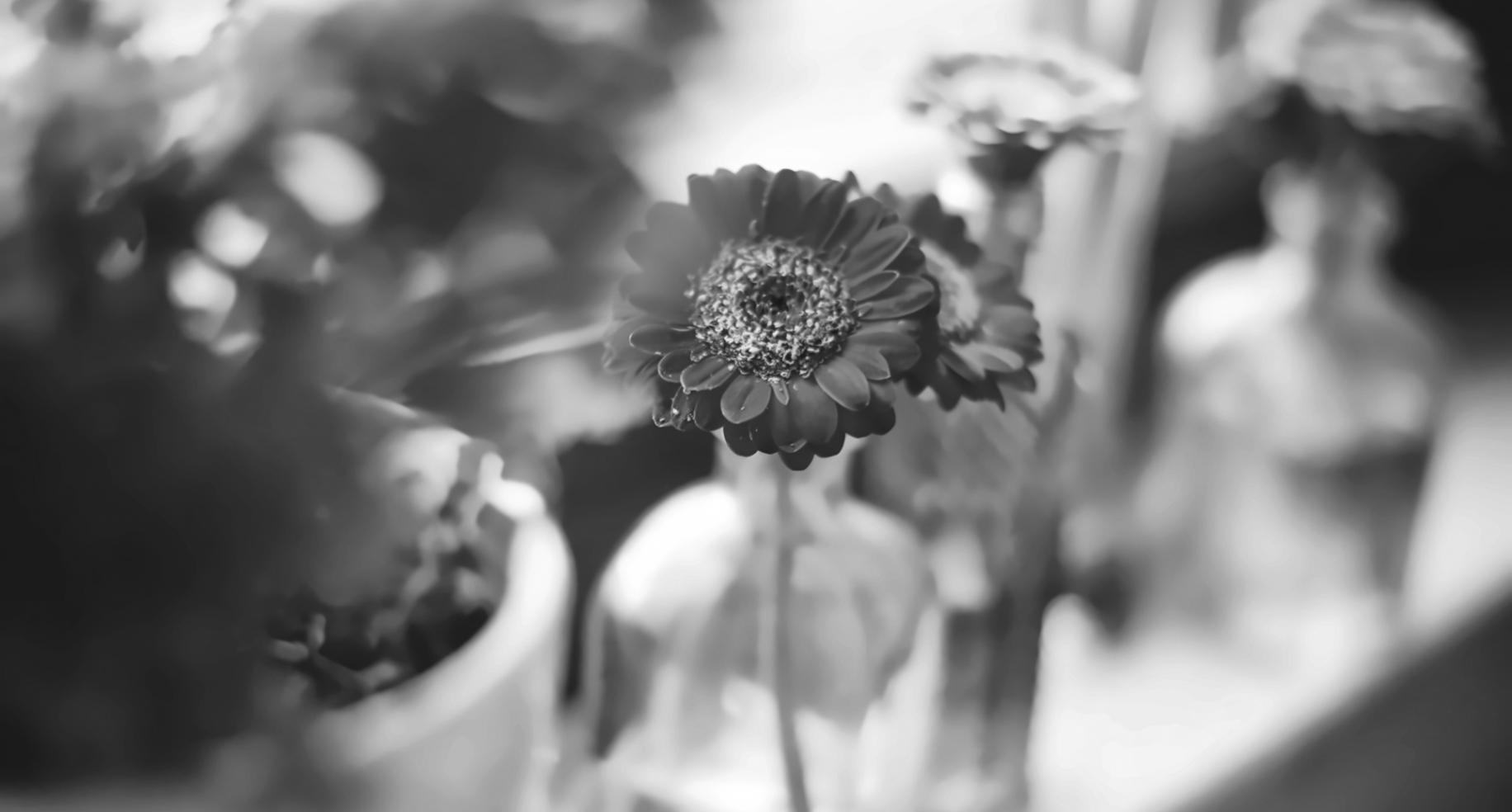 Professional flower arrangement process showing careful selection and design